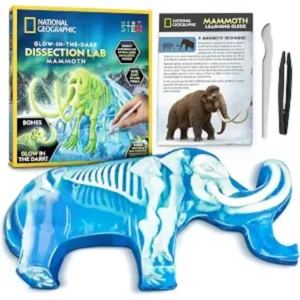 Tar Pit Mammoth Dissection Kit