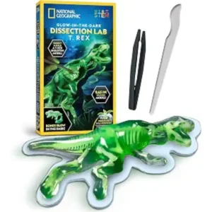 Glow in the Dark T-Rex Dissection Kit