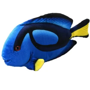 Surgeonfish