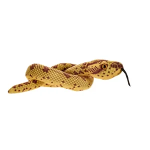 Green Anaconda