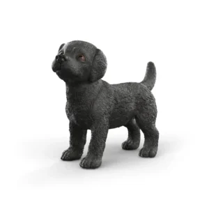 Black Lab Puppy